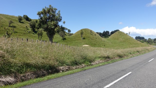 E9D5BA04-DB72-4F6D-9380-A3508E639B2B