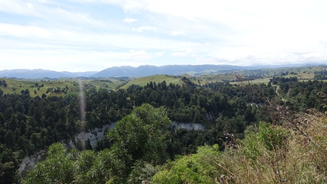 F32BB6BD-7322-4A3F-A896-4E44292285EA