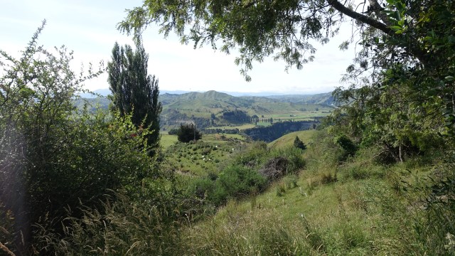 F6E75598-BAC7-4905-82EF-40699FEA381B