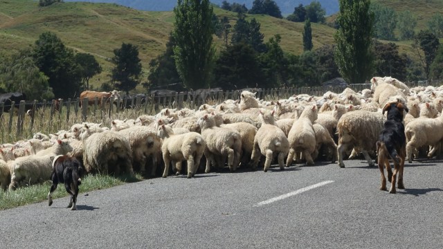 FDA09C2A-BC0B-4438-8F04-D2632389D19F