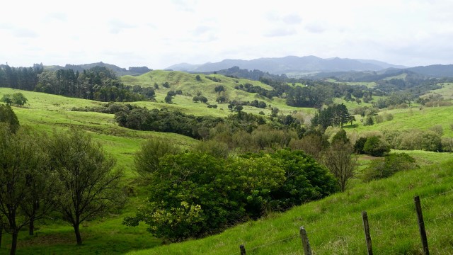 0024F42E-ADFF-4004-9657-B0D5FA70014F