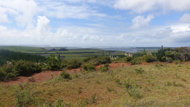 0F1E358D-62C6-4FA5-8A93-2A56FE19B5B7