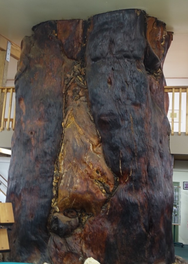 111D69D9-2D41-4C4A-A8DC-5FC91482C8D0