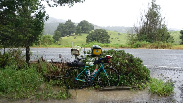 13149F76-F9DF-4D4A-AA10-E8C6AE226050