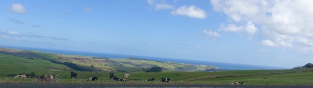 2370CDC1-08CF-4F4F-8FA6-01D222D8B7F9