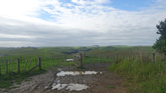 248D9975-BD89-4855-B99B-5EE63400F8BE