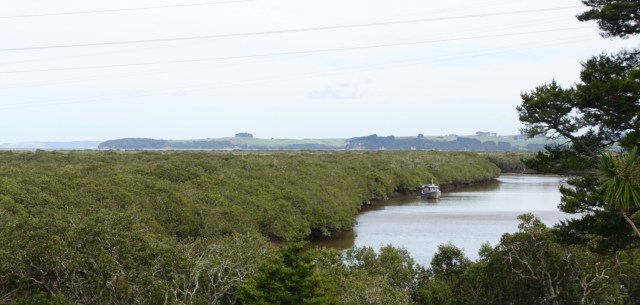 295855BC-140A-4976-9E4A-CD1F9D524F21