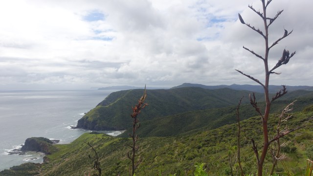 2EC89379-FB5A-419F-8D6E-3D4B1E34405C