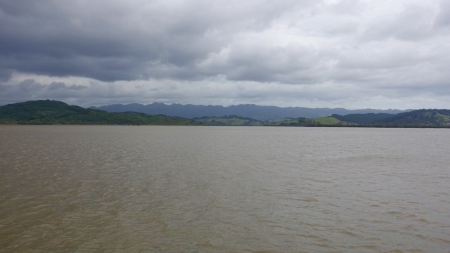 315E1238-F58E-4C99-8818-4EA24C7744EA