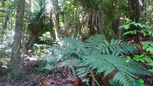 34693DFB-976A-443B-9793-8CB37050E59B