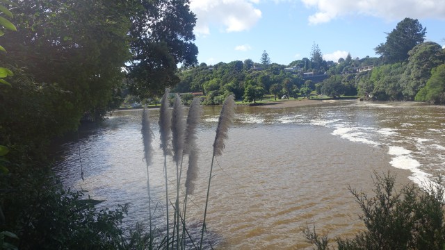 3C159D32-CAD0-46CA-854F-040B85CAEBA2