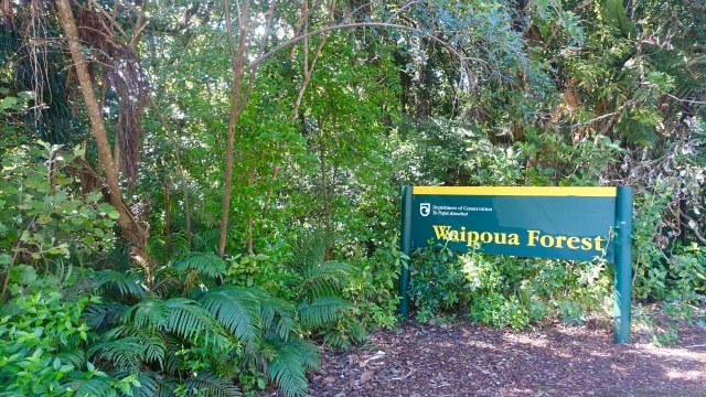 3DC109DC-41E1-4296-A781-BC3CD465B2F5