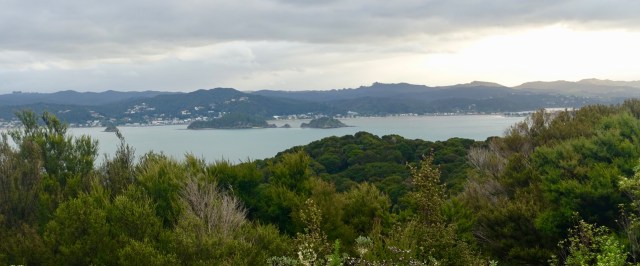 41F7D797-1EE0-4A23-BBF8-F30BFA0F6968