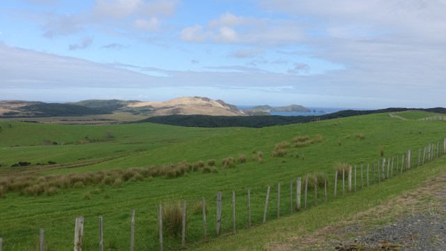 441231AF-15E9-4384-A21C-891D4F677702