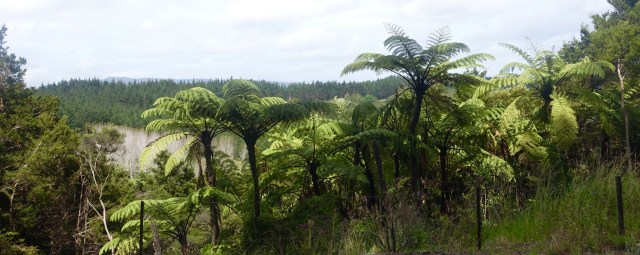 59538F9F-2A79-488A-97BC-290C929A28A6