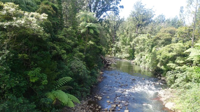 622108CB-28C2-4EFA-8413-AE9688B68EC0