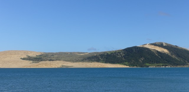 62549D42-50F9-40D9-95E9-122AE785CB2E