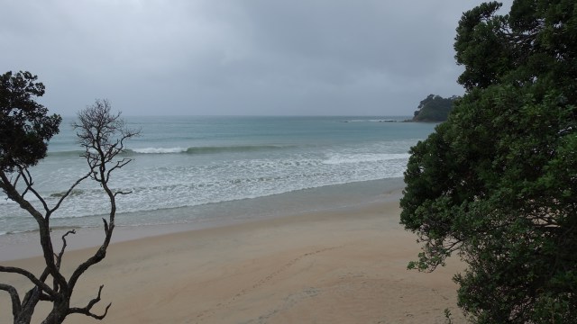 6665D873-AB1A-4CDB-BEED-E245AFDBB3CE