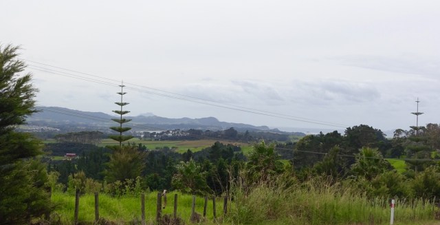 6B268C4D-5B94-4E89-A36C-9ED8AE7C75EE