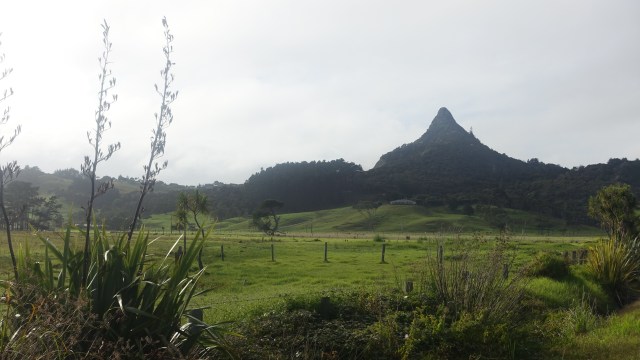 6C5C881D-2533-49C2-9931-1BAF41BF8CF0