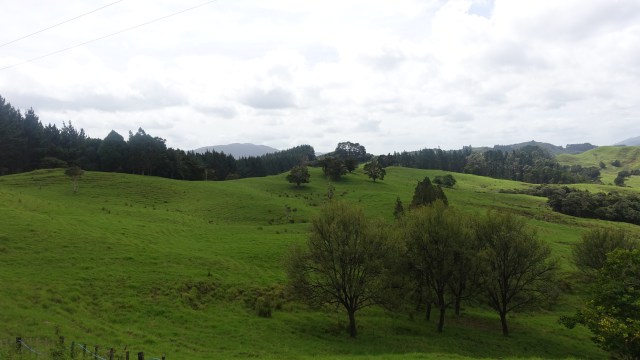 716085B8-AF79-41A2-9149-2D59CC69AA7F