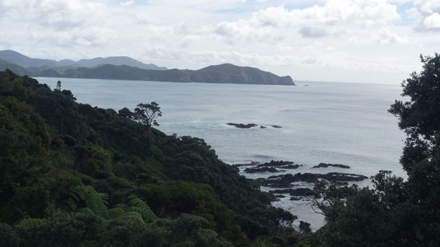 74A6267C-2D70-4843-AE9A-C6CCE5405943