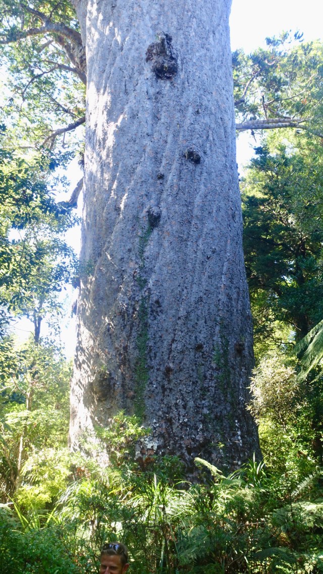 7A6A1E14-4B9F-40F4-B17F-B1A22B56E1C3