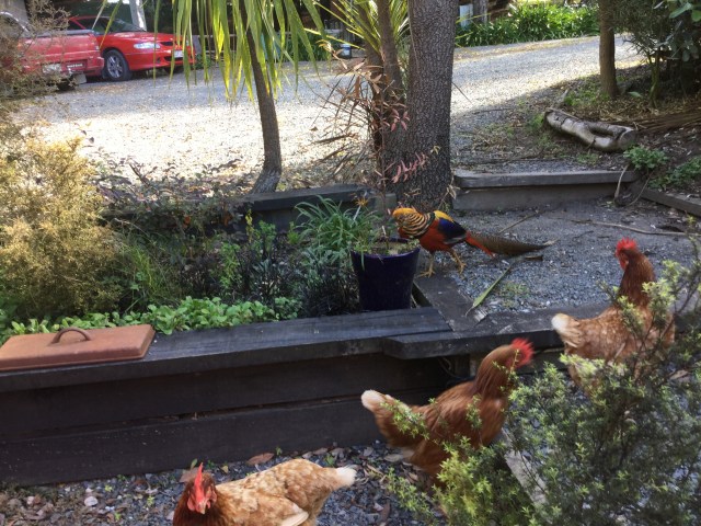 7DF622DF-C711-4259-B99F-9748EEC416D4