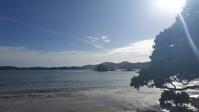 8156574D-3DDB-4C74-ABA5-11E10C55E197