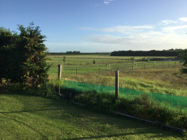 82CD44B6-7FA0-4309-84FE-B1B0C83BD6BD