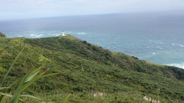 841249CC-0349-4C2D-B5C8-E3056955A1E4