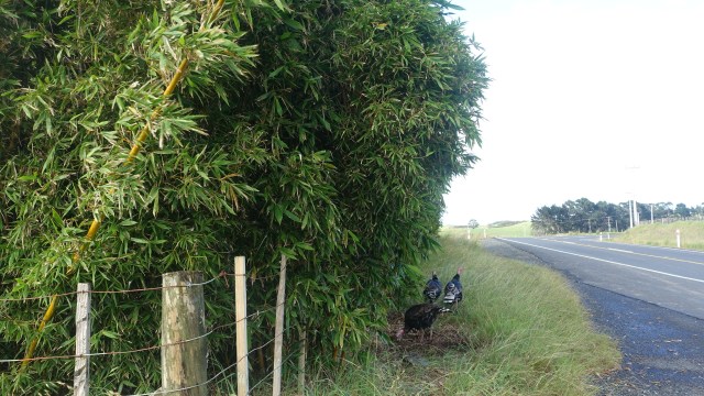 9EF72D7D-2CDD-4E7A-9058-09ECC4AE7797