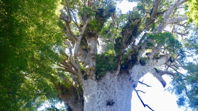 A1203EA0-BC02-4815-83D8-EFB7680712CE