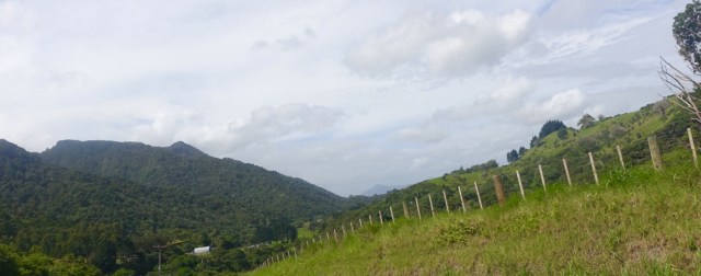 A202762B-AFE5-45AD-A6FB-ED918B4BF77D