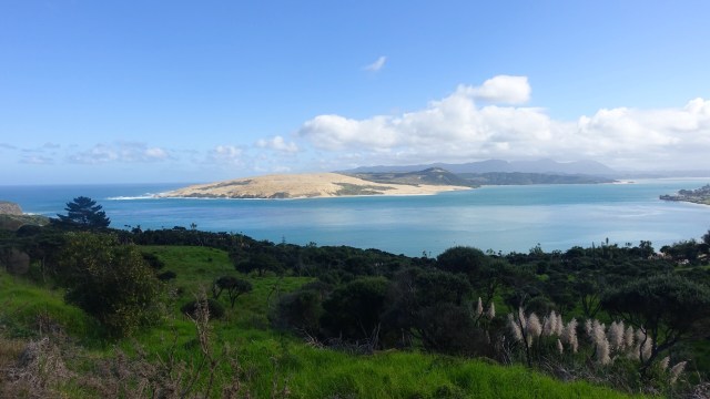 A9ABEE2A-E62A-4A93-AAE8-C803ED729469