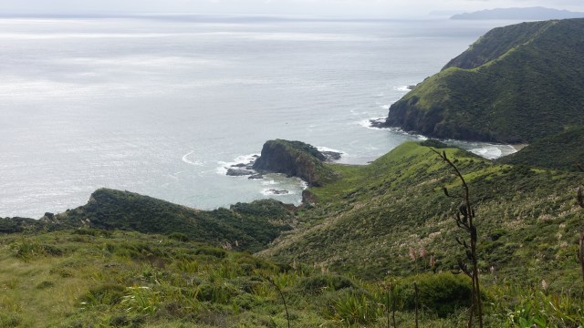 B0EE0C71-DE94-4547-8008-6C0850673E22