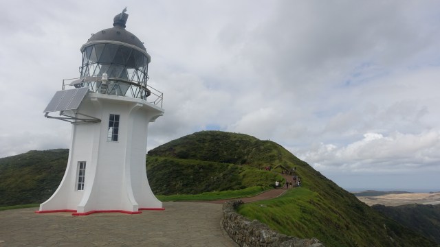 B43BD5A1-15B3-4F02-97CF-D8A2FA638109