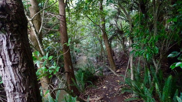 C6FEE5C8-AEAB-4D36-8D04-EF036994679F