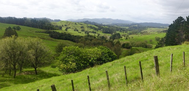 EA59F04B-CCBF-42C3-A7CE-216BECF67FD2