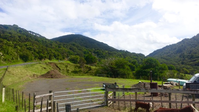 EA8B21B5-6501-49AA-AEBB-68BD211115AB