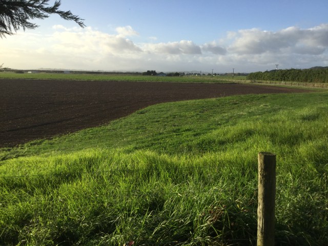 F4564973-DD75-4692-B68D-BE8946F70E22