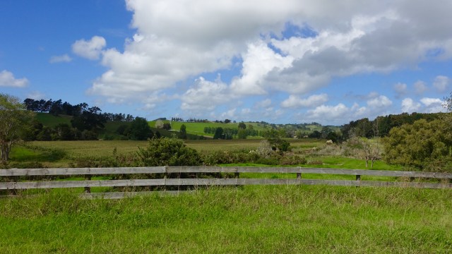 FC532CD1-5B9F-4968-9C9B-831D2889D6E7