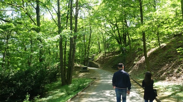 19E3E3C6-EF4C-4F53-9337-B2D2FC305260