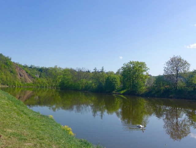 2475EB2C-39C0-4959-9AF7-29DCC187E66E