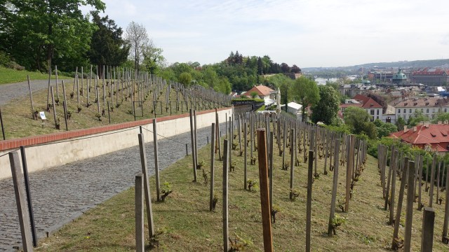 35CBB933-3152-4AC5-8067-F0E280899091