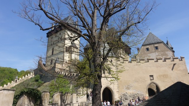 3DAC06B3-C8E8-47AD-9496-D127219EF6C0