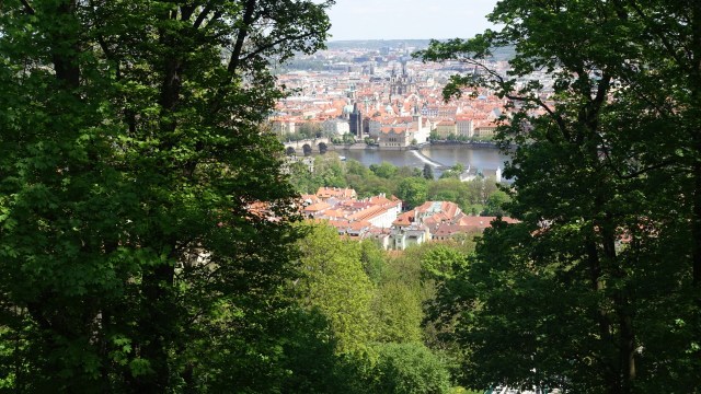 79CBE70C-B24F-4088-ABBD-EA16268AE1EE