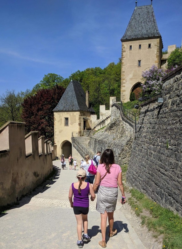 CFEAA9DA-943E-4109-8EE8-3E225DBEF74E