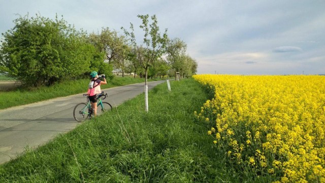 0084BDC9-3AC0-4CBC-819F-51940AEC3D25