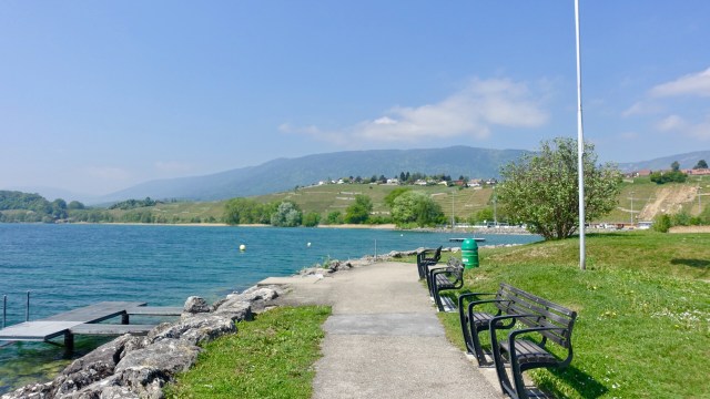 01FC9EEB-00C6-46CF-8FE5-491ED6682D8E